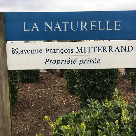 Vue Mer Sur La Cote D'Opale, Studio La Naturelle Pour 4 Personnes , Wimereux Extérieur photo